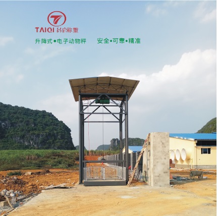 升降式電子動(dòng)物秤